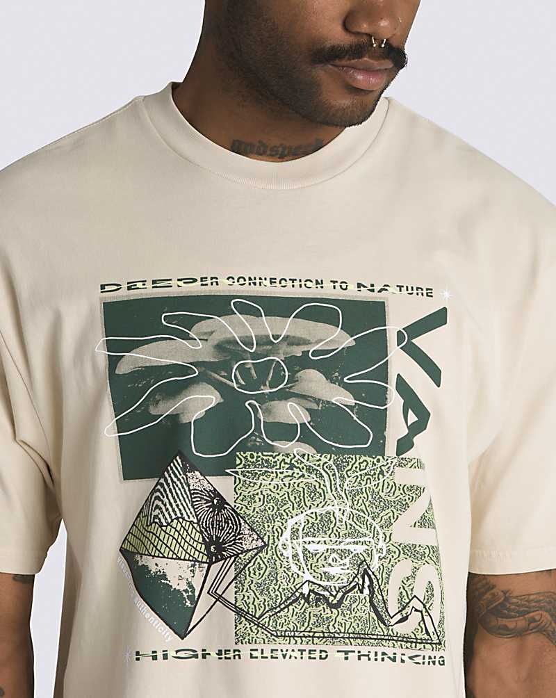 Vans Experiment 66 T-Shirt Herren Beige | Österreich FLGBMW973