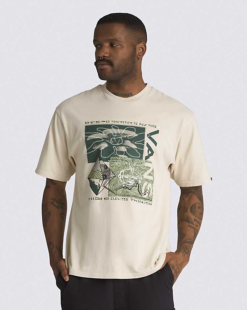 Vans Experiment 66 T-Shirt Herren Beige | Österreich FLGBMW973